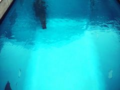 -金泽21世纪美术馆