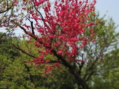 -幕燕滨江·长江观音景区