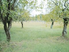 -梁鸿国家湿地公园