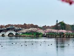 -上海海湾国家森林公园