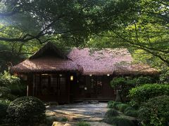 -中国茶叶博物馆(双峰馆区)