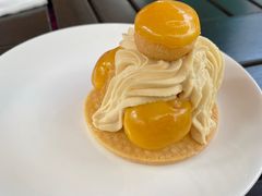 -Madeleine玛德琳(永平里店)