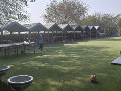 -亲兄弟真人CS团建拓展基地