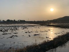 -上海佘山国家森林公园天马山园