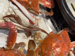 -半岛听涛蒸汽海鲜自助(K11店)