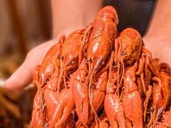 -霸王虾·麻辣小龙虾(清水河公园店)