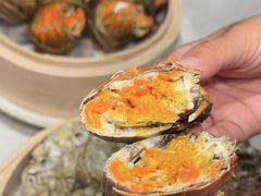 -杨氏青龙虾·羊蝎子(金盛路总店)