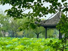 -高子水居
