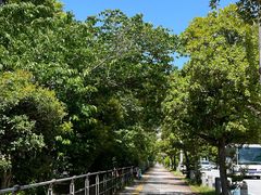-台场海滨公园船码头