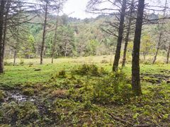 -硗碛藏寨·神木垒景区