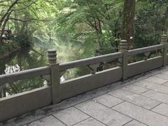 -西湖外事游船(花港观鱼码头)