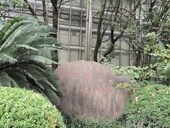 -上海海洋大学鱼文化博物馆(军工路校区)