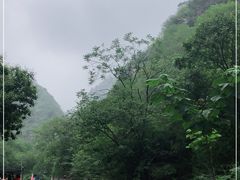 -北京上方山国家森林公园