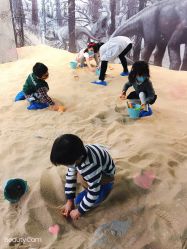 -恐龙探索乐园(磁器口店)