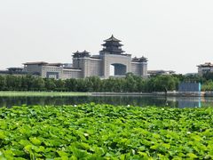 -莲花池公园