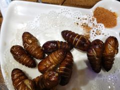 -正通记·哈尔滨烧烤·炭烤鸽子(七宝万科国际店)