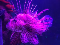 -沈阳海洋探索中心