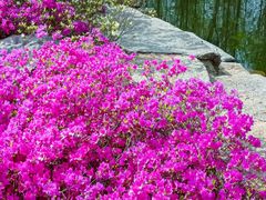 -羊亭河湿地公园