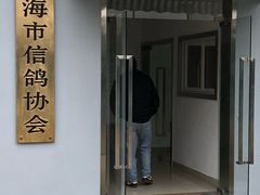 -久萌教培·仙霞网球中心官方培训