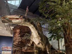 -湖南省地质博物馆