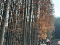 -采石矶景区