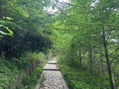 -北仑森林植物园