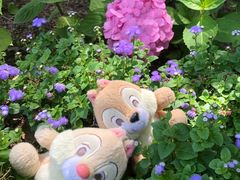 -上海滨江森林公园