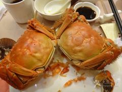 -王宝和酒家(黄浦店)