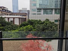-背包十年青年旅舍(成都太古里春熙路店)