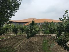 -滆湖低碳生态公园