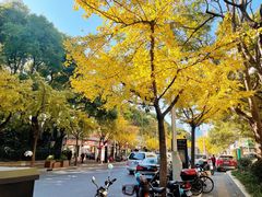 -丽晶大班SPA(大沽店)