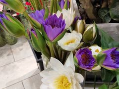 -T11生鲜超市(朝阳公园店)