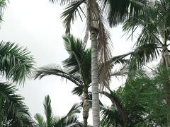 -人民公园(罗湖区)