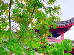 -龙潭水乡