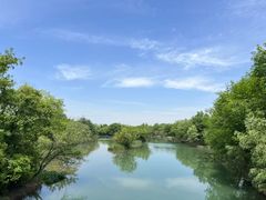 -西溪国家湿地公园