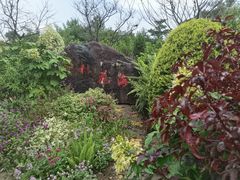 -广州市流溪河国家森林公园