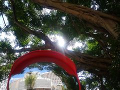 -大埔公路-马料水段香港中文大学(公交站)