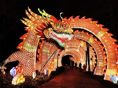 -欢乐海岸椰林沙滩-2025湾区超级灯会