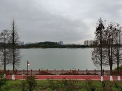 -鹤之洲湿地公园