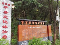 -清溪森林公园