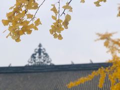 -古大圣慈寺