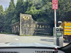 -武陵山森林公园
