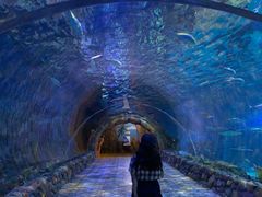 -华夏文旅海洋公园