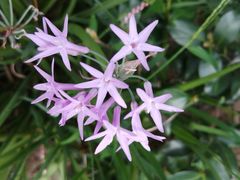 -杭州城北体育公园