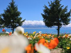-赛里木湖风景名胜区