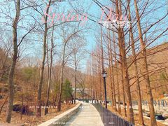 -白水寺森林公园