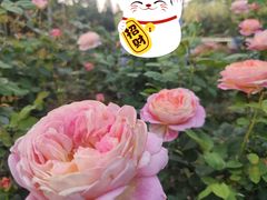 -人民公园(罗湖区)