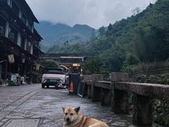 -林坑古村落