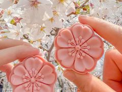 -珈境湖畔餐厅·湖北菜·江浙菜•樱花季(西北湖店)