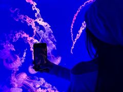 -海合安成都极地海洋公园